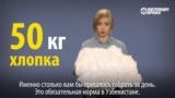 Пять центов за кило: как и почему в Узбекистане заставляют людей собирать хлопок