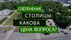 Саженцы раздора. Почему активисты обвинили власти Бишкека в закупке деревьев по завышенной в 50 раз цене