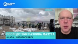 Экоактивист Владимир Сливяк – о том, почему российские власти не справляются с последствиями разлива мазута в Черном море 